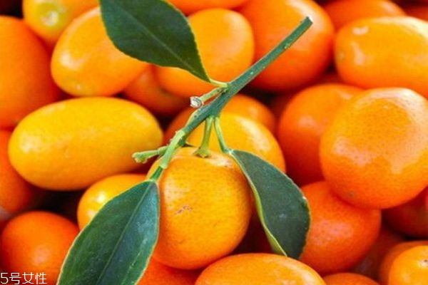 金桔怎么吃最營(yíng)養(yǎng) 金桔的功效與禁忌