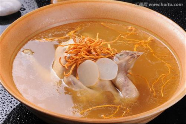 蟲(chóng)草花是菌類嗎 蟲(chóng)草花的作用是什么