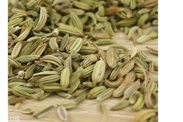 什么是小茴香呢 小茴香有什么營養(yǎng)價(jià)值呢