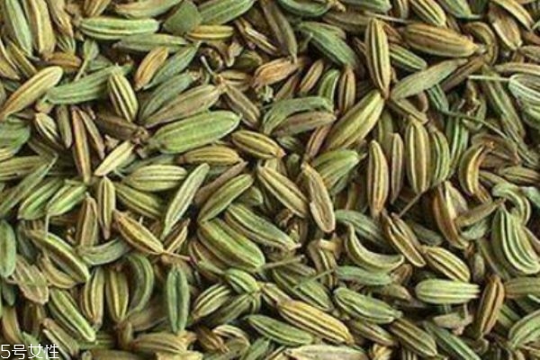 什么是小茴香呢 小茴香有什么營養(yǎng)價(jià)值呢