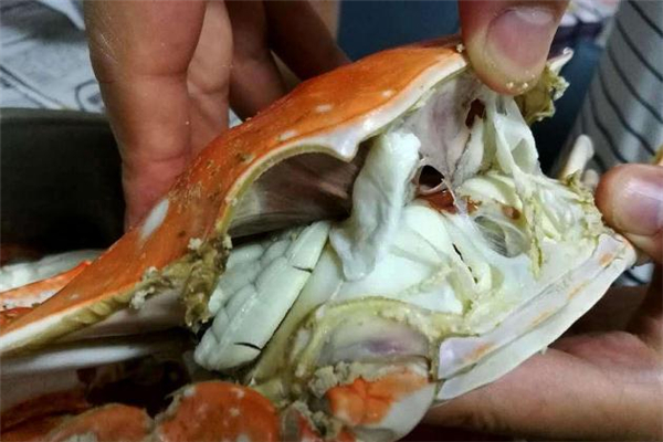 梭子蟹為什么肉很爛 梭子蟹肉吃起來(lái)粉粉的什么情況