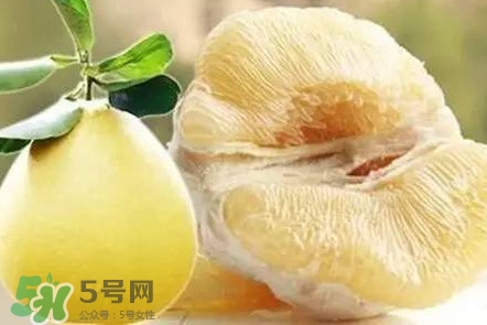 蜜柚是哪個季節(jié)的水果？蜜柚和沙田柚的區(qū)別是什么？
