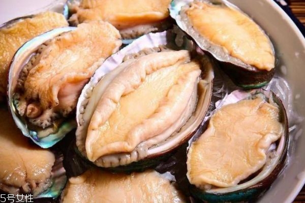 鮑魚的營(yíng)養(yǎng)價(jià)值有哪些呢 吃鮑魚有什么好處呢