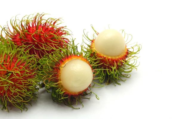 紅毛丹有哪些品種 紅毛丹藥用價(jià)值有哪些