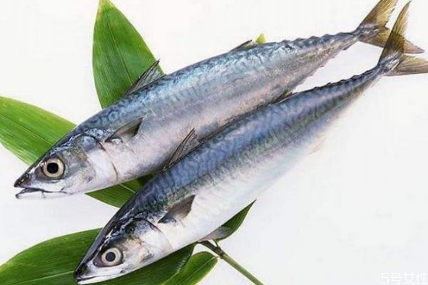 鰱魚(yú)有什么營(yíng)養(yǎng)價(jià)值呢 吃鰱魚(yú)有什么好處呢