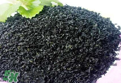 怎么辨別螺旋藻的真假？買螺旋藻怎么挑？