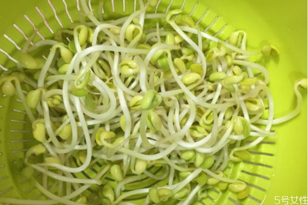 豆芽有什么營養(yǎng)價值呢 吃豆芽有什么好處呢