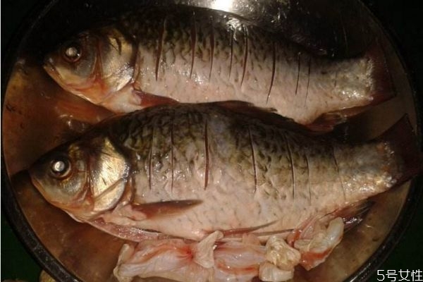 孕婦可以吃鯽魚(yú)嗎 孕婦吃鯽魚(yú)有什么注意的呢