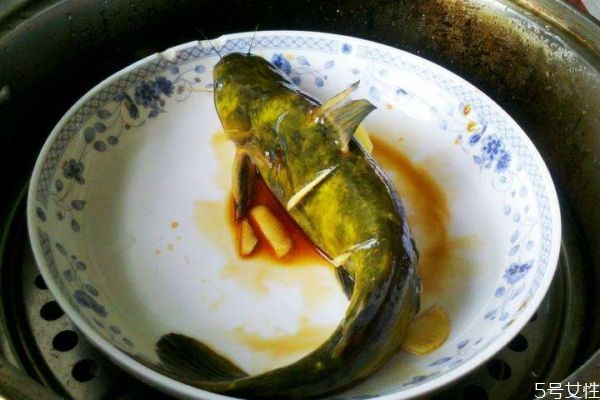什么是黃刺魚(yú)呢 黃刺魚(yú)有什么營(yíng)養(yǎng)價(jià)值呢