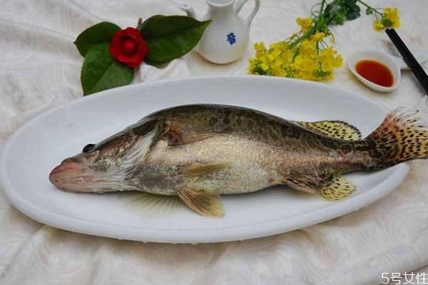 什么是季花魚呢 季花魚有什么營(yíng)養(yǎng)價(jià)值呢