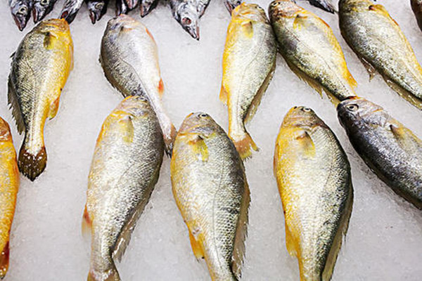 常吃黃魚(yú)有什么好處 黃魚(yú)屬于發(fā)物嗎