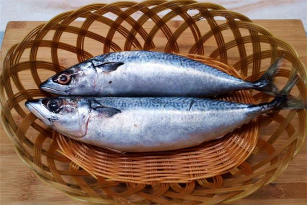鲅魚(yú)什么人不能吃 鲅魚(yú)不能和什么一起吃