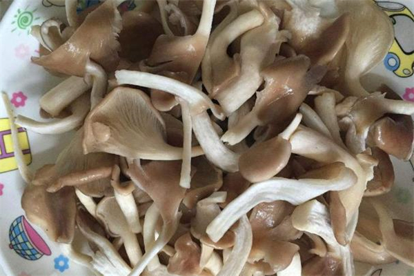 吃了發(fā)霉的平菇怎么辦 怎么看平菇有沒(méi)有發(fā)霉