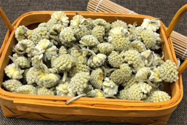 綠蘿花茶多少錢(qián)一斤 綠蘿花茶的禁忌
