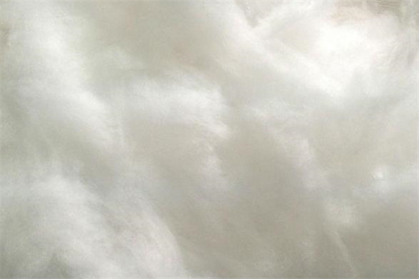棉服和羽絨服哪個(gè)比較好?棉服和羽絨服優(yōu)缺點(diǎn)對比