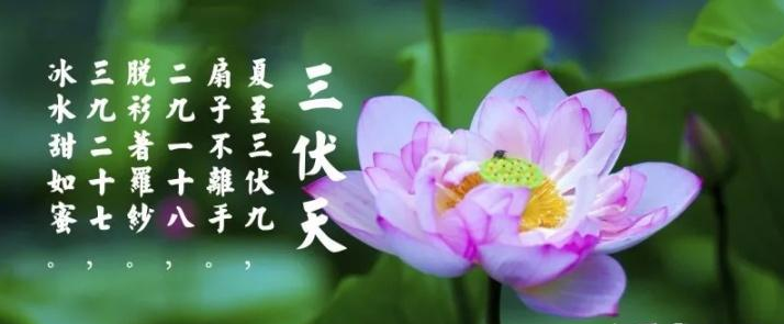 三伏天是什么？三伏天應(yīng)注意什么？