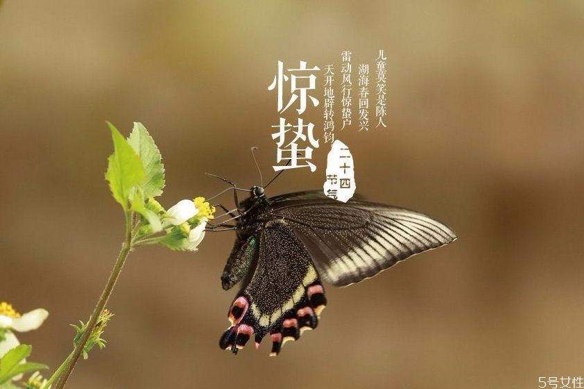 驚蟄如何養(yǎng)生 驚蟄養(yǎng)生重點是什么