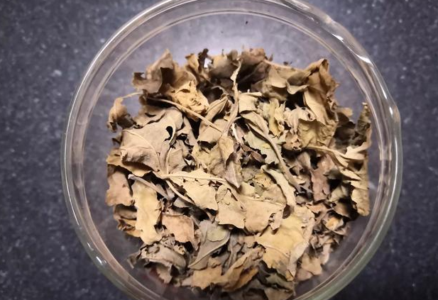 喝桑葉茶能減肥嗎?有什么副作用？