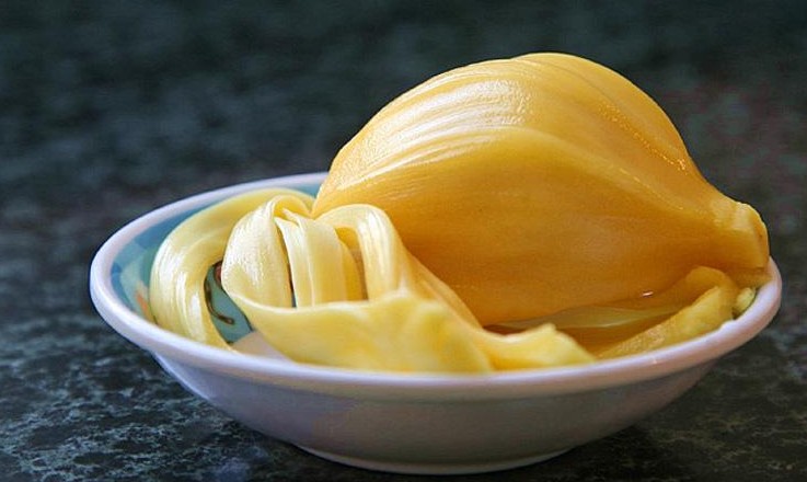菠蘿蜜核的功效與作用、禁忌和食用方法
