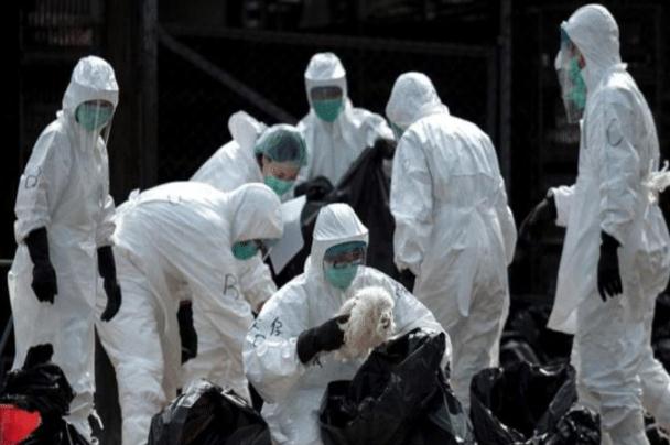 印度疫情真實(shí)情況曝光 超過一億人確診