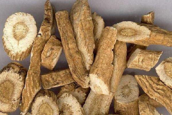 板藍根是風(fēng)寒還是風(fēng)熱 板藍根是消炎藥嗎