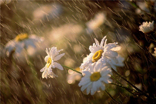梅雨季節(jié)什么時候開窗通風(fēng)最好 梅雨季節(jié)開窗通風(fēng)好不好