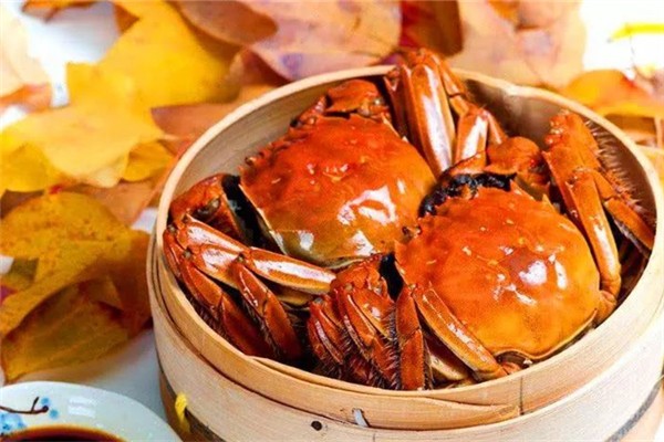 螃蟹怎么挑肥的 螃蟹買(mǎi)公蟹還是母蟹
