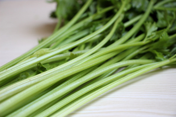 芹菜會(huì)脹氣嗎 芹菜會(huì)酸胃嗎