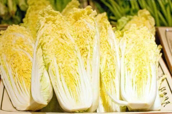 娃娃菜怎么選 娃娃菜怎么保存時(shí)間長