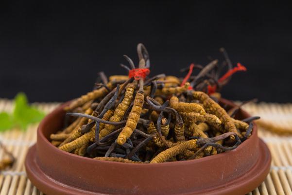 冬蟲夏草會(huì)引起腹瀉嗎 冬蟲夏草會(huì)開花嗎