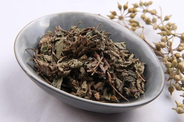 車前草的營(yíng)養(yǎng)成分 車前草的副作用有哪些