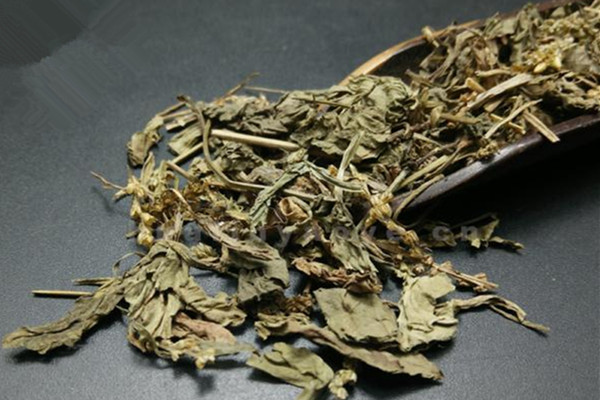 車前草的營(yíng)養(yǎng)成分 車前草的副作用有哪些