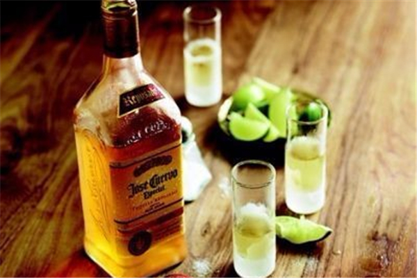 龍舌蘭酒是什么酒 龍舌蘭酒一般多少錢(qián)
