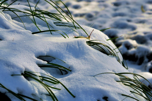 小雪節(jié)氣的來(lái)歷 小雪節(jié)氣有哪些風(fēng)俗
