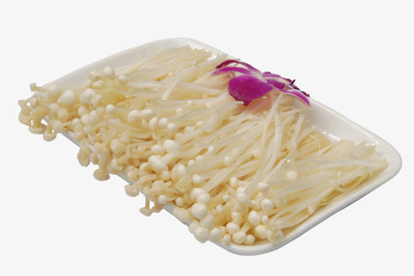 金針菇的營(yíng)養(yǎng)價(jià)值 金針菇能經(jīng)常吃嗎