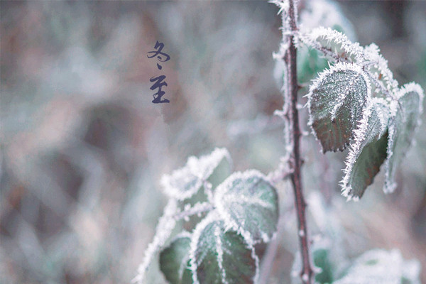 冬至每年都是同一天嗎 冬至是白天長(zhǎng)還是晚上長(zhǎng)