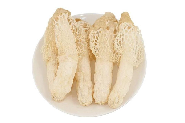 竹蓀是什么東西 竹蓀是菌菇類(lèi)嗎
