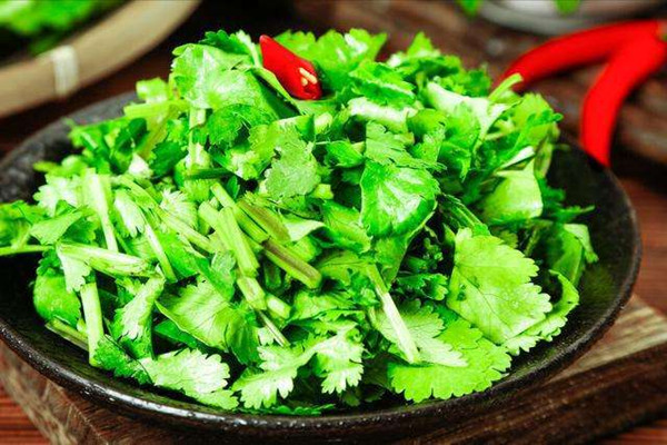 香菜的營養(yǎng)價(jià)值有哪些 香菜不適合什么人吃
