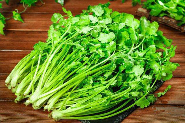 香菜的營養(yǎng)價(jià)值有哪些 香菜不適合什么人吃