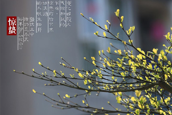 驚蟄會(huì)下雨嗎 驚蟄天氣有什么變化