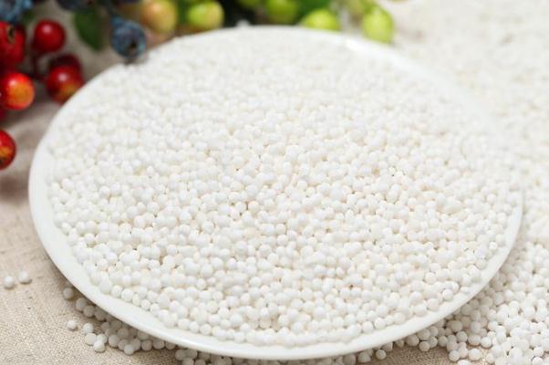 西米對(duì)身體有什么好處 西米對(duì)血糖有影響嗎