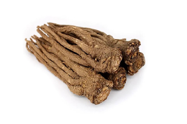 當(dāng)歸和什么搭配補氣血最好 當(dāng)歸和天麻可以一起燉雞嗎