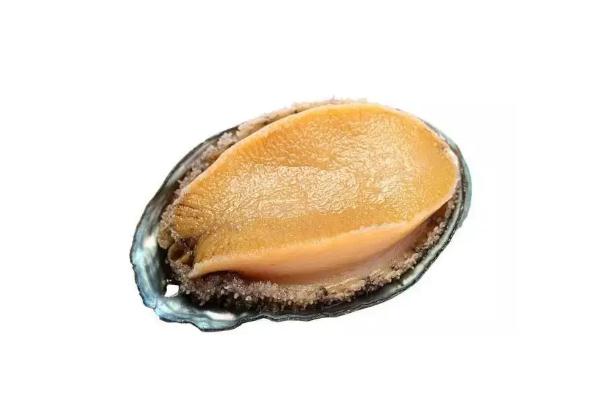 鮑魚要放冰箱嗎 鮑魚要?dú)⒁幌聠?/h1>

時(shí)間：2022-04-29 08:58:15 編輯：5號(hào)網(wǎng)-wsy 0
分享至：



 c_4(); 
鮑魚是我們大家都很熟悉的海鮮，同時(shí)我們大家都知道很多海鮮買回來(lái)是要放冰箱里的，那么我們?cè)谶@里便要了解一下鮑魚要放冰箱嗎？鮑魚要?dú)⒁幌聠幔?/p>鮑魚要放冰箱嗎冷藏和冷凍都可以。鮑魚的營(yíng)養(yǎng)價(jià)值很高，屬于名貴的海洋食用貝類，常年生活在低溫海域中，常溫下保存時(shí)間并不長(zhǎng)，容易死亡變質(zhì)。一般都會(huì)將其置于冰箱保存，在冰箱的低溫條件下，可以抑制細(xì)菌以及微生物的繁殖，一定程度上延長(zhǎng)鮑魚的保存時(shí)間，一般要是鮑魚的量不是很多的話，建議可以放在冰箱冷藏保存；如果鮑魚的量比較多，一時(shí)半會(huì)兒吃不完，糯米建議放冷凍更好。鮑魚中含有豐富的蛋白質(zhì)、脂肪、氨基酸以及鈣、鐵、磷等多種礦物質(zhì)產(chǎn)婦，將其置于冷凍室下進(jìn)行保存，在冷凍室的低溫條件下，可以幫助抑制鮑魚細(xì)菌以及微生物的滋生，幫助延長(zhǎng)其保質(zhì)期，正常情況下可以保存1-2個(gè)月左右。鮑魚要?dú)⒁幌聠?/h3>不需要。剛買回來(lái)的鮑魚如果不著急吃，想要繼續(xù)存放的話，無(wú)需清洗宰殺處理，而且還要避免將鮑魚表面的自帶的海水成分洗掉，否則鮑魚會(huì)因?yàn)榄h(huán)境不適應(yīng)而死得更快，建議鮮鮑魚直接保留原樣，用保鮮袋或保鮮盒裝好，直接放入冰箱冷藏或常溫存放即可。鮑魚是海洋食用貝類，剛買到的鮑魚一旦離開了原來(lái)的生活領(lǐng)域，就很難存活保證其不死，只能采取以下方法來(lái)延長(zhǎng)存活的時(shí)間：準(zhǔn)備一盆清水，放少許食鹽攪勻，然后將活鮑魚放入盆中，倒入淡鹽水，水量沒(méi)過(guò)鮑魚的一半了，然后將鮑魚放在陰涼干燥通風(fēng)處即可，不過(guò)鮑魚在常溫下存放時(shí)間較短，大概只能放2天左右。鮑魚要冷水還是熱水焯水鮑魚在吃之前是可以先焯一下水的，生鮑魚的腥味較重，將鮑魚先焯一下水再去烹飪的話能夠減輕鮑魚的腥味。另外將鮑魚焯一下水的話能夠幫助殺滅鮑魚中沒(méi)有清洗干凈的細(xì)菌，使得鮑魚吃起來(lái)更加的衛(wèi)生健康。想要鮑魚的口感好的話，就一定要將鮑魚熱水下鍋，因?yàn)槿绻渌洛伒脑挘U魚燙的時(shí)間就會(huì)比較久，這樣鮑魚的口感就會(huì)偏硬。一般將鮑魚清洗處理干凈熱水下鍋燙2分鐘左右將其撈出為宜，這樣就能使得鮑魚的口感更好。另外如果想要鮑魚的口感更好的話，在焯水之前可以在鮑魚的肉面上用刀劃上井字格，這樣鮑魚會(huì)更容易焯熟，且在烹飪的時(shí)候也更容易入味。鮑魚會(huì)過(guò)敏嗎鮑魚也會(huì)出現(xiàn)過(guò)敏的癥狀，因?yàn)轷U魚是一種海鮮海產(chǎn)品，特別是對(duì)海鮮，海產(chǎn)品過(guò)敏體質(zhì)的人，對(duì)鮑魚也會(huì)出現(xiàn)過(guò)敏的癥狀，要及時(shí)的采取脫敏的藥物進(jìn)行治療，可以用一些抗過(guò)敏的藥物。在這期間要注意，不能吃辛辣的食物，也不要喝酒，要注意衛(wèi)生。導(dǎo)致過(guò)敏的原因可能跟個(gè)人的體質(zhì)有一定關(guān)系，但也可能是免疫力下降所引起的癥狀。過(guò)敏最好不要吃鮑魚的，因?yàn)樗鼘儆诤ｕr之類的，過(guò)敏性體質(zhì)，對(duì)海鮮之類的食物都容易發(fā)生過(guò)敏的，吃了以后有可能會(huì)加重過(guò)敏的癥狀。 

 b_4(); 


鮑魚要蒸多少時(shí)間才能熟 鮑魚要焯水嗎
下一篇:很抱歉沒(méi)有了

網(wǎng)站首頁(yè)
返回欄目


相關(guān)文章

1鮑魚要蒸多少時(shí)間才能熟 鮑魚要焯水嗎浏览:3468 2鮑魚有牙齒嗎 鮑魚有幾頭什么意思浏览:1万+ 1鮑魚的熱量 鮑魚有寄生蟲嗎 2鮑魚孕婦可以吃嗎 鮑魚孕婦吃了有什么好處 3鮑魚屬于甲殼動(dòng)物還是軟體動(dòng)物 鮑魚煮多久才可以吃 4鮑魚的功效與作用及營(yíng)養(yǎng) 鮑魚怎么處理干凈 5鮑魚多少錢一斤市場(chǎng)價(jià)2022年 鮑魚多少錢一只 6鮑魚吃了有哪些好處 鮑魚吃多了會(huì)有什么壞處 


熱門文章


豬各部位肉的名稱圖片全解巴沙魚到底能不能吃？吃巴沙魚有什么危害嗎 

C位是什么意思？明星站C位是什么意思腌咸雞蛋一斤放多少鹽？腌咸雞蛋10斤需多少鹽？10寸蛋糕多大 10寸蛋糕夠幾個(gè)人吃木耳要焯水嗎?木耳怎么焯水?糯米和江米是一種米嗎 東北圓糯米才叫江米蛋糕尺寸適合多少人？6寸的蛋糕4個(gè)人吃夠嗎？鮮百合吃多了會(huì)中毒嗎?鮮百合的吃法禁忌低糖水果有哪些？十大低糖水果排行榜海螺怎樣吃才正確圖解？海螺哪里不能吃圖示麥飯石鍋有害嗎？麥飯石鍋的危害海螺哪個(gè)部位不能吃 海螺不能吃的部位圖解6寸蛋糕多大 6寸蛋糕直徑多少 


5H跟帖 
















網(wǎng)友評(píng)論僅供其表達(dá)個(gè)人看法，并不表明5h立場(chǎng)。





		var mydate = new Date();
		var year = mydate.getFullYear();
		var month = mydate.getMonth();
		var day = mydate.getDate()
		var nowdate = year+"-"+month+"-"+day
		
		$("#imageField").click(function(){
			var commentcont = $(".comment-text").val();
			if($(".comment-text").val()==""){
				alert("您沒(méi)什么話要說(shuō)嗎？");
			}else{
				var data = {
					nomember:1,
					saytext:commentcont,
					id : $("#id").attr("value"),
					ecmsfrom : $("#ecmsfrom").attr("value"),
					classid : $("#classid").attr("value"),
					enews : $("#enews").attr("value"),
					repid : $("#repid").attr("value")
				};				
				$.ajax({
					type: "POST",
					url: "/e/pl/doaction.php",
					data: data,
					dataType:'text',
					success: function(msg){
						$(".comment-text").val("");
						$(".comment-body").prepend('<li><div   id="sici2cg"   class="combd-title"><span id="kkakwau"    class="title">本站網(wǎng)友:匿名</span><span id="iyiueu2"    class="time">'+nowdate+'</span></div><p class="combd-bd">'+commentcont+'</p></li>')
					}
				});
			}	
		})	
	
 
