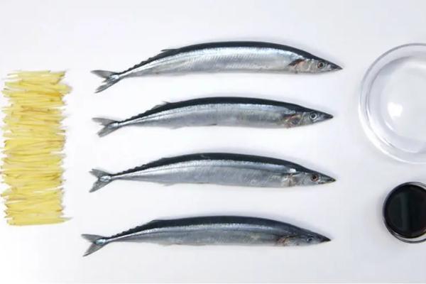 秋刀魚有沒有刺 秋刀魚有藍(lán)色的斑點