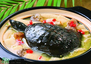 甲魚(yú)多少錢一斤 甲魚(yú)多少錢一斤市場(chǎng)價(jià)2022