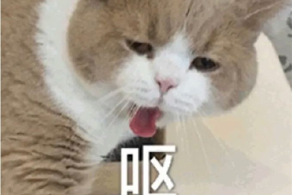 yue是什么意思網(wǎng)絡用語 yue是哪里的口音