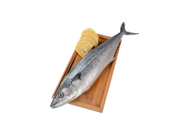 鲅魚(yú)的營(yíng)養(yǎng)價(jià)值及功效與作用 鲅魚(yú)是海魚(yú)還是淡水魚(yú)