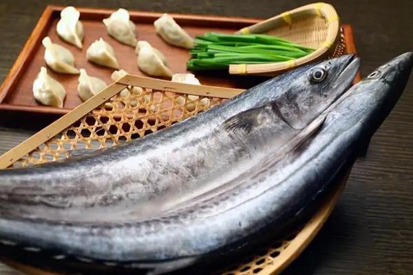 鲅魚(yú)為什么出水就死 鲅魚(yú)為什么腥味大