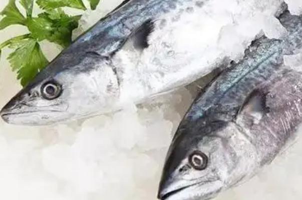 鲅魚(yú)對(duì)身體有什么好處 鲅魚(yú)對(duì)胃好嗎