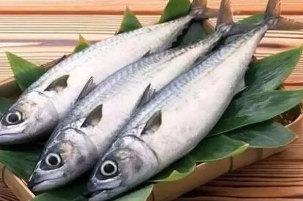 鲅魚(yú)熱量 鲅魚(yú)的魚(yú)籽能不能吃